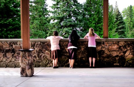 Three Pink And Brown Dress photo