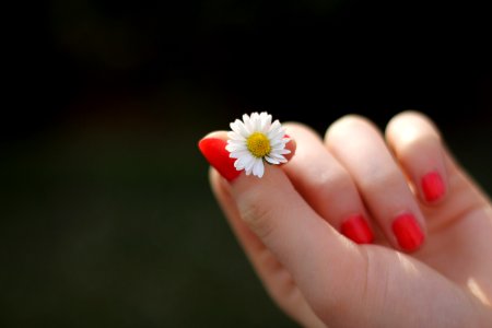 Finger Nail Flower Hand photo