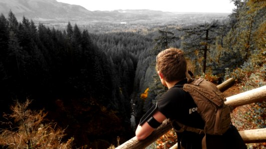 Man In Black Shirt And Brown Backpack Leaning On Brown Wooden Handrail Looking Over Green Leaf Pine Trees And Creek photo
