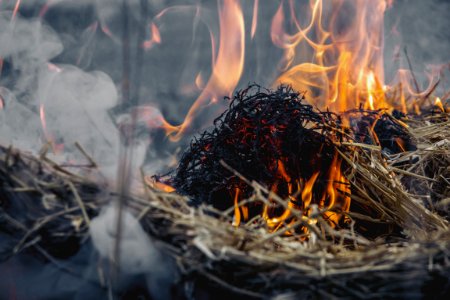 Dried Grass On Fire