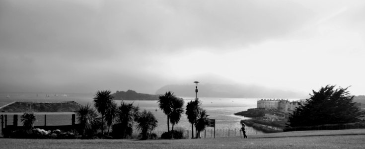 Grayscale Photography Of Building Near Body Of Water photo