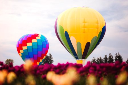 Two Assorted Color Hot Air Balloons photo