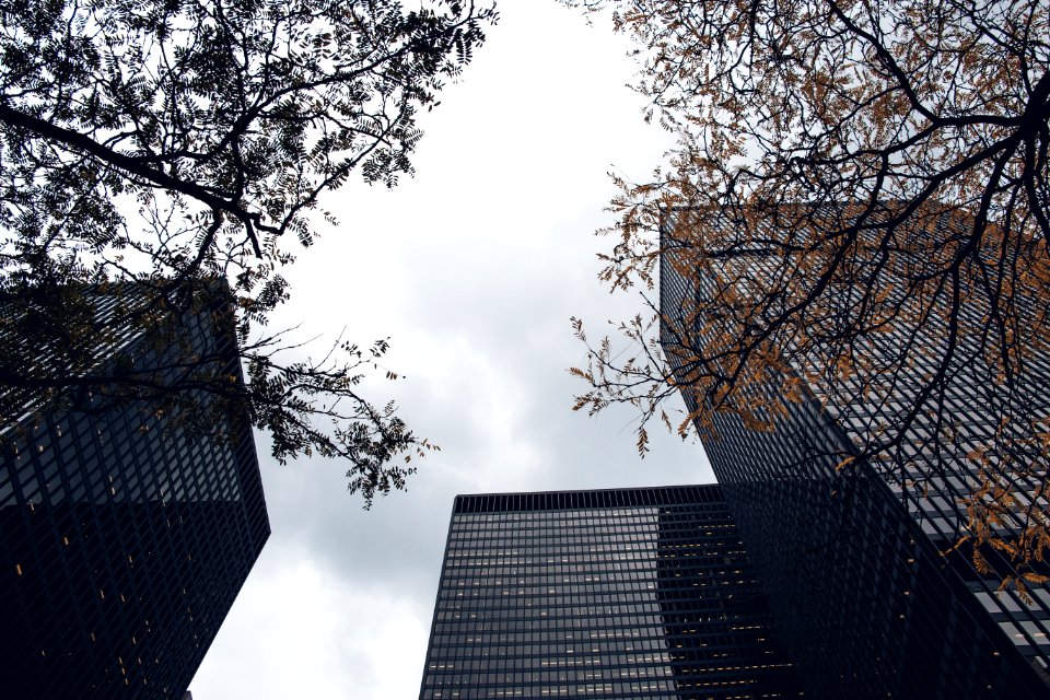 Worms Eye View Of High Rise Buildings