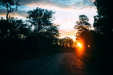 Backlit Dawn Dramatic