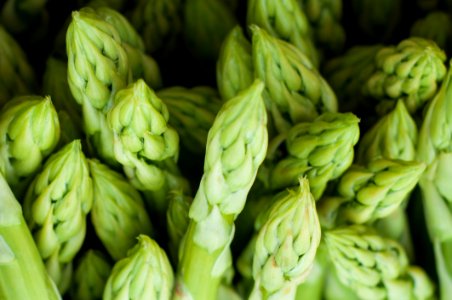 Asparagus Close-up Delicious