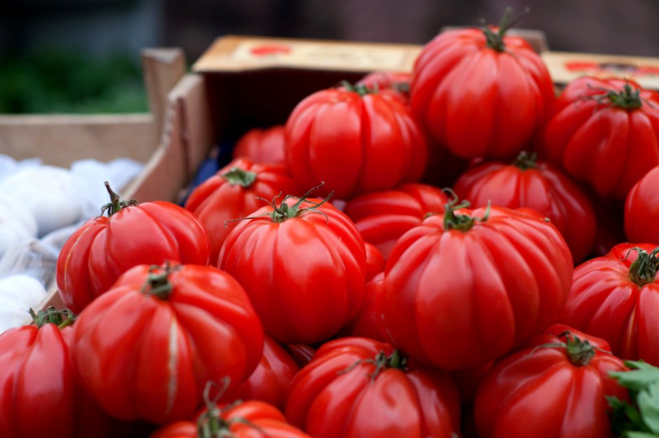 Delicious Food Fresh