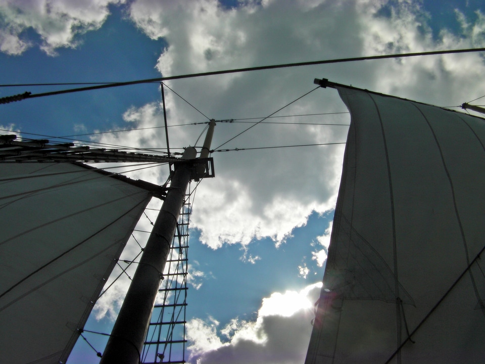 Rain sail nature