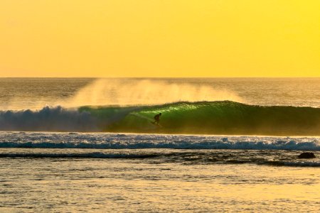 Golden Coast