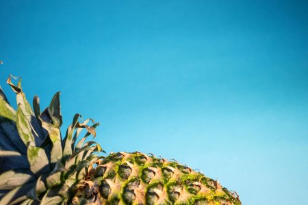 Focus Photography Of Pineapple Fruit