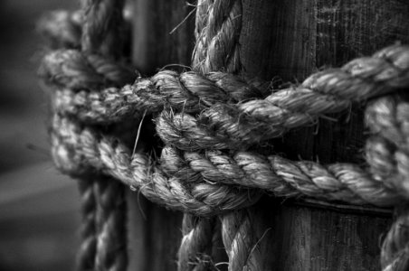 Grayscale Photo Of Rope On Log photo