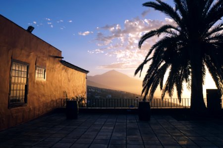 Landscape Photography Of Brown Painted House Near Green Leaf Tree During Golden Hours