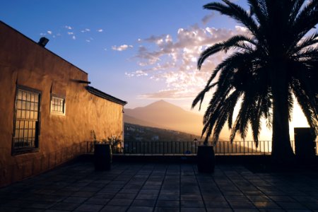 Landscape Photography Of Brown Painted House Near Green Leaf Tree During Golden Hours photo