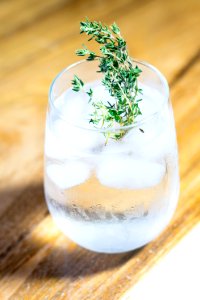 Green Leafed Plant On Drinking Glass With Ice And Water photo