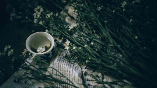 Ceramic Teacup Near White Flowers With Plant photo