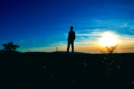 Silhouette Of Man Near Tree Photo photo