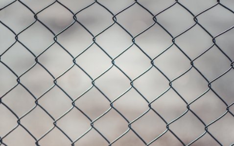 Chain Linked Fence photo