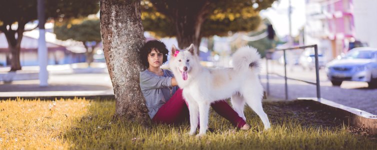 Woman In Gray Long Sleeve Top And Red Pants Sitting Beside Tree And White Medium Coated Dog photo