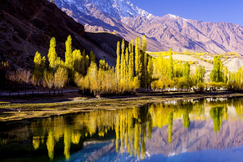 Panoramic Photography Of Green Trees Near Mountain Range
