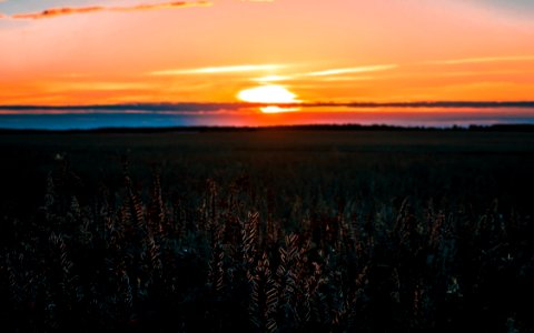 Gray Field During Sunset