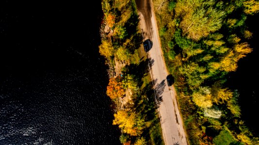 Aerial Photography Of Road Between Trees On Body Of Water photo