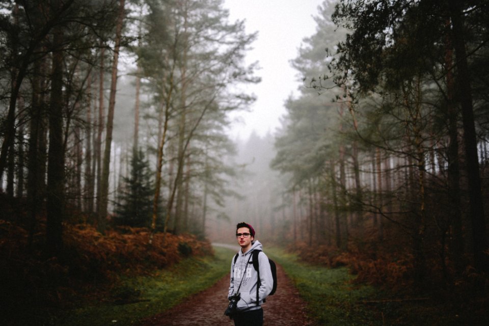 Into The Woods