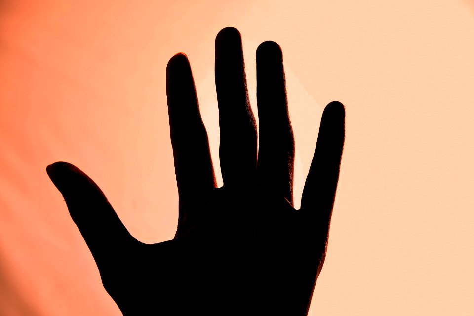 Silhouette Of Left Human Hand photo