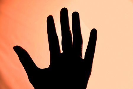Silhouette Of Left Human Hand photo
