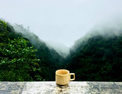 White Ceramic Cup photo