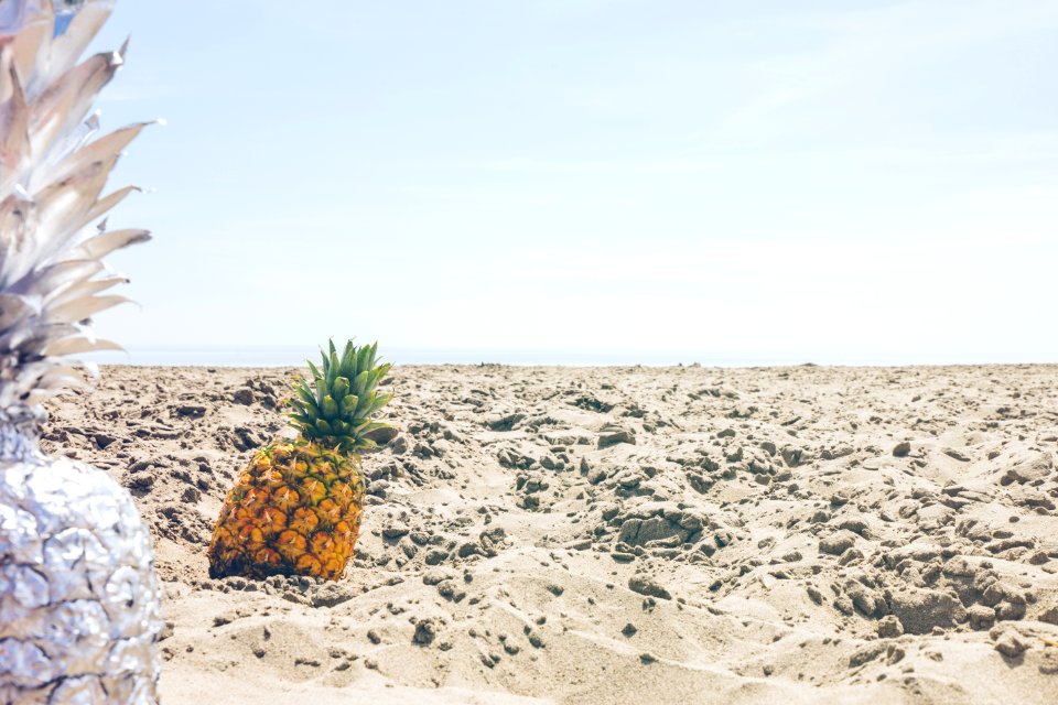 Adventure Arid Art Beach