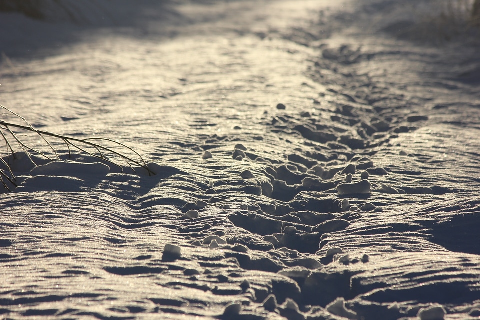 Snow landscape snowy