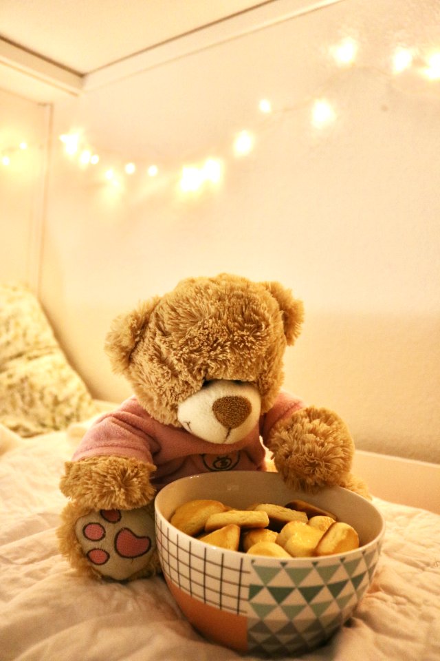 Brown Bear Plush Toy