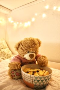 Brown Bear Plush Toy photo