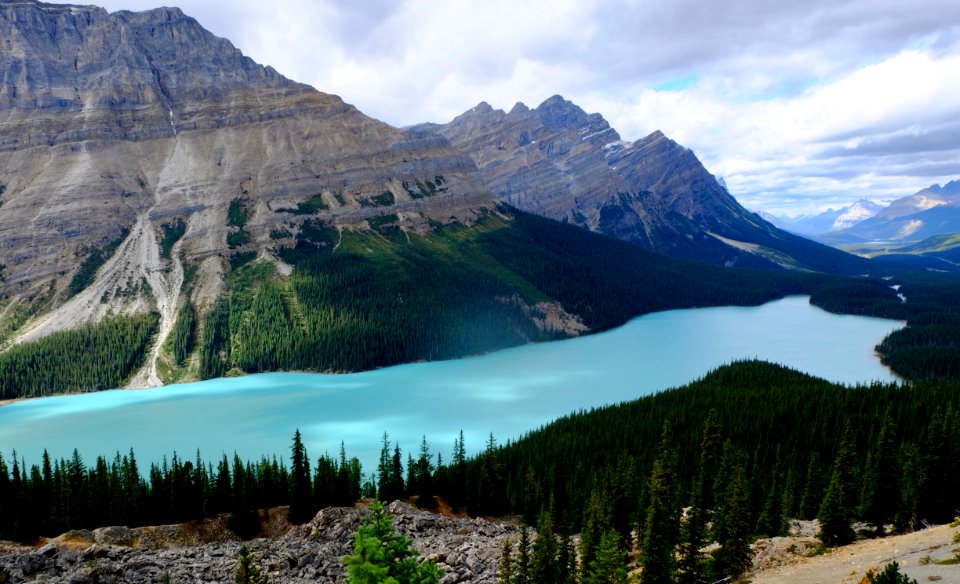 Peyto Lake photo