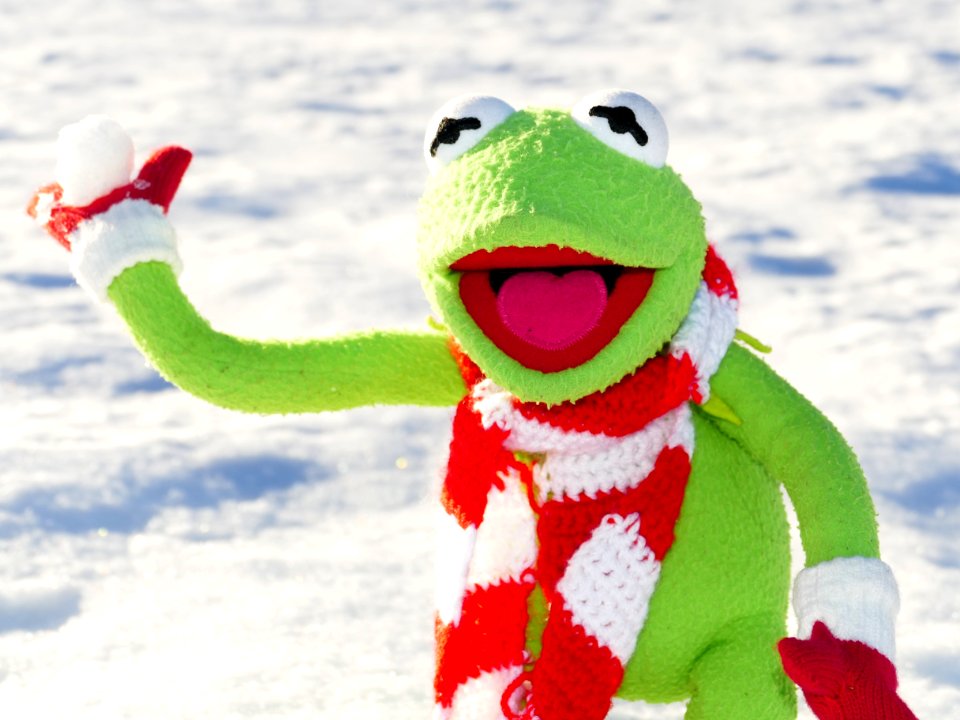 Vertebrate Frog Amphibian Stuffed Toy