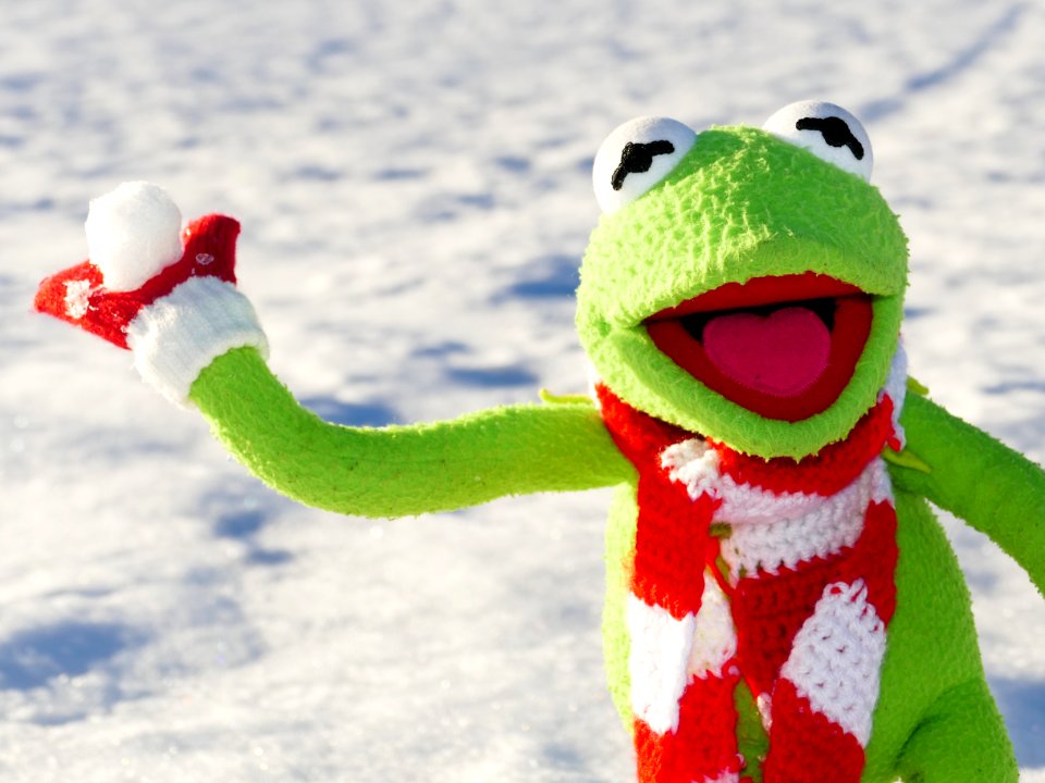 Vertebrate Frog Amphibian Stuffed Toy