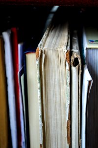 Closeup Photo Of Book Filed On Shelf