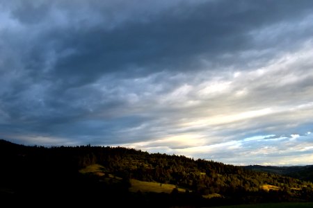 Forest amp Clouds