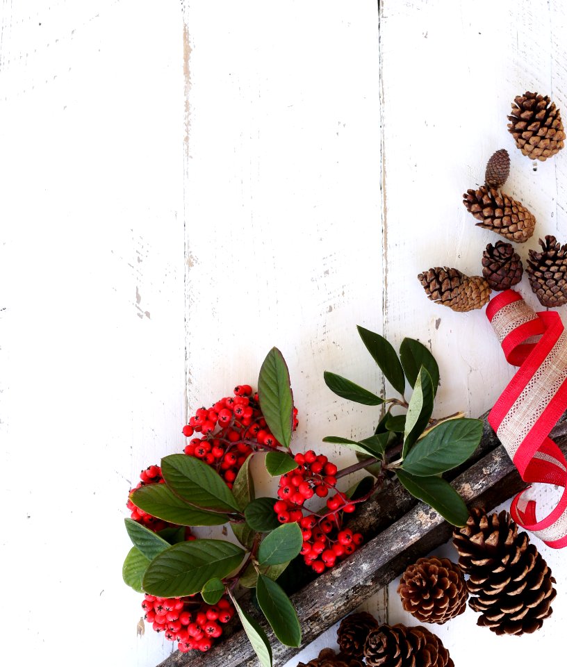 Red Fruits And Brown Pine Cones On White Wooden Surface photo