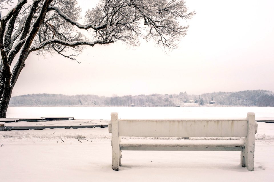 Bench Cold Fog Foggy