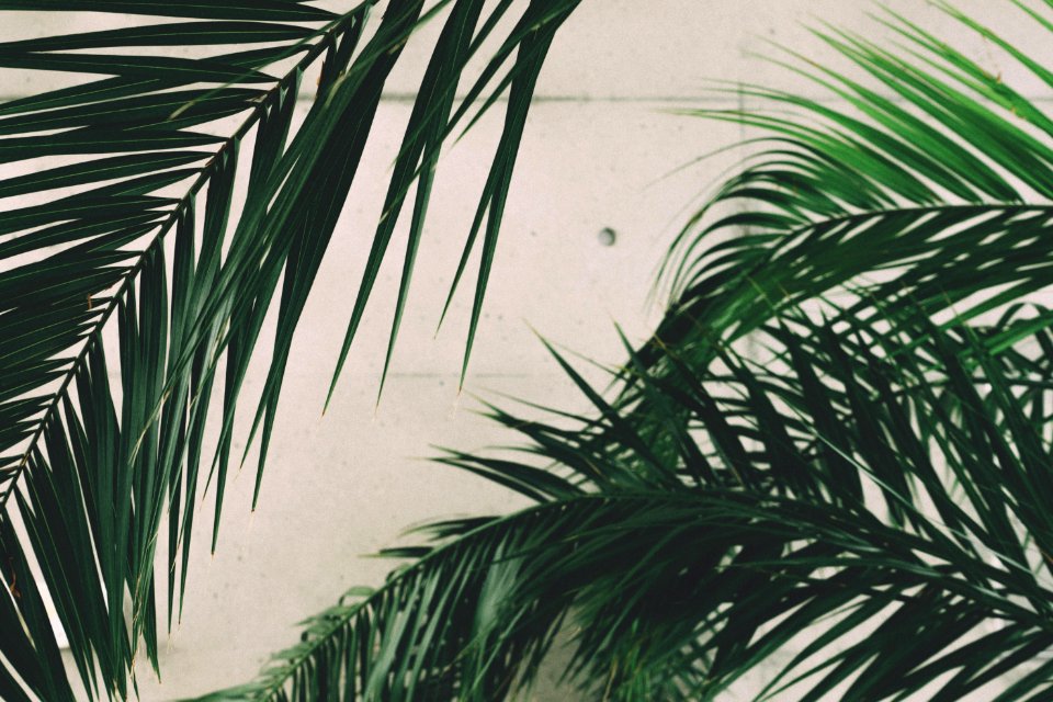Close-up Concrete Green