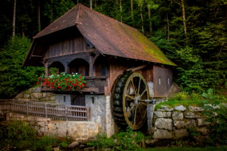 Tree Cottage Plant House