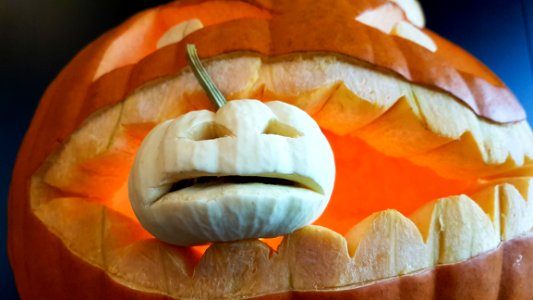 Calabaza Winter Squash Pumpkin Carving