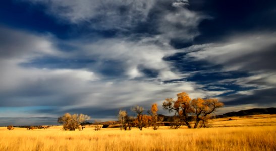 Sky Grassland Ecosystem Prairie photo