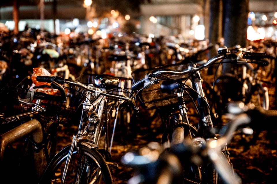 Action Adult Bicycle