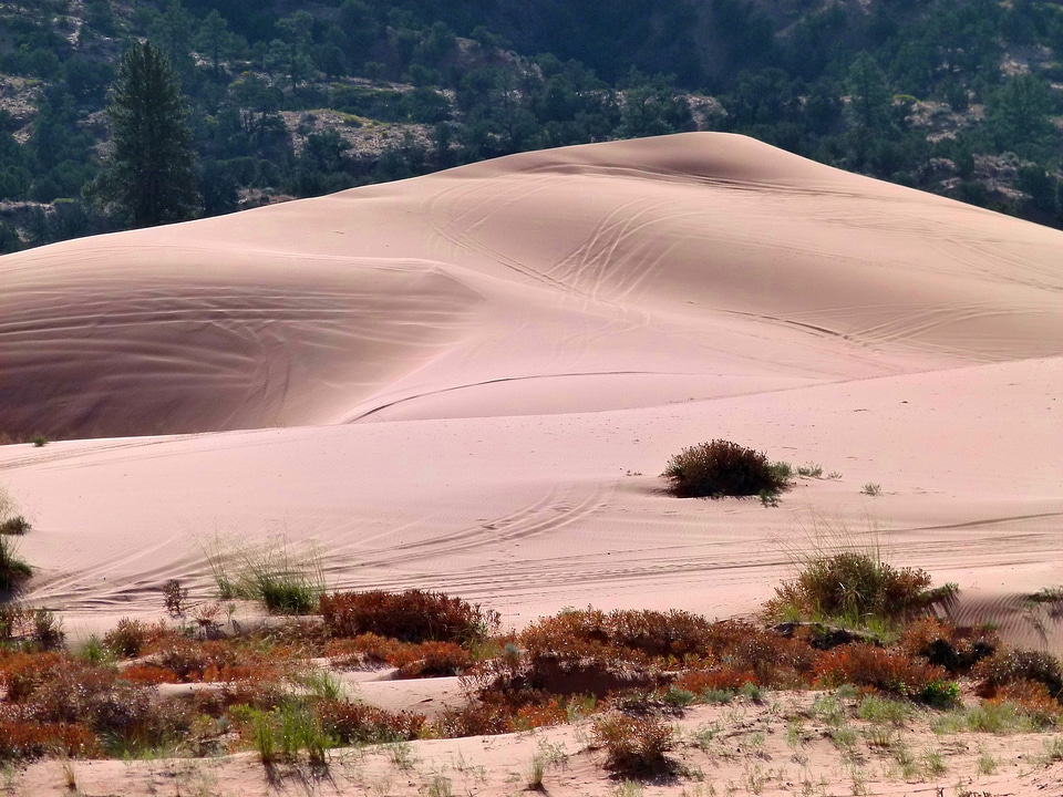 Sand desert dry photo