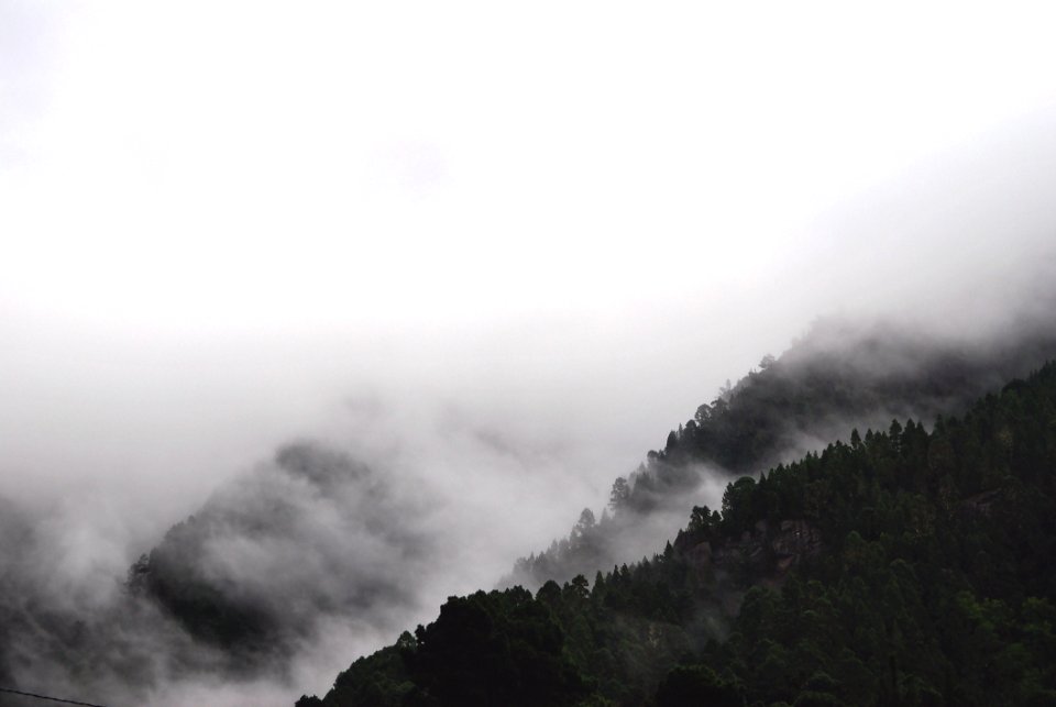 Black And White Fog