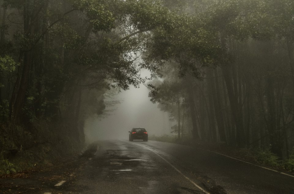 Bosque Car Car Lights