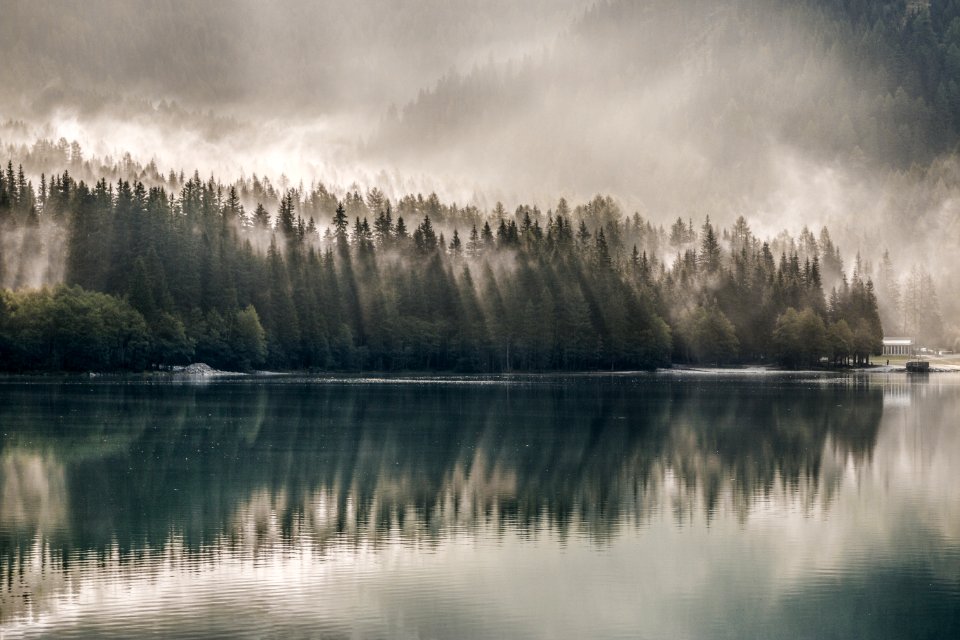 Daylight Environment Fog Foggy
