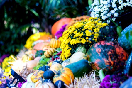 Bright Celebration Colors