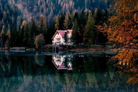 Architecture Autumn Conifer Dawn